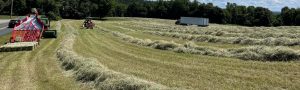 hay delivery