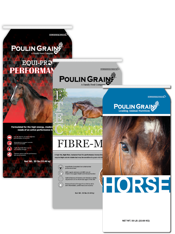 poulin horse feed